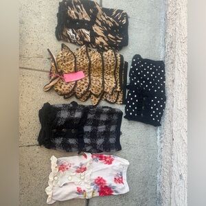 Charlotte tarantola🌴